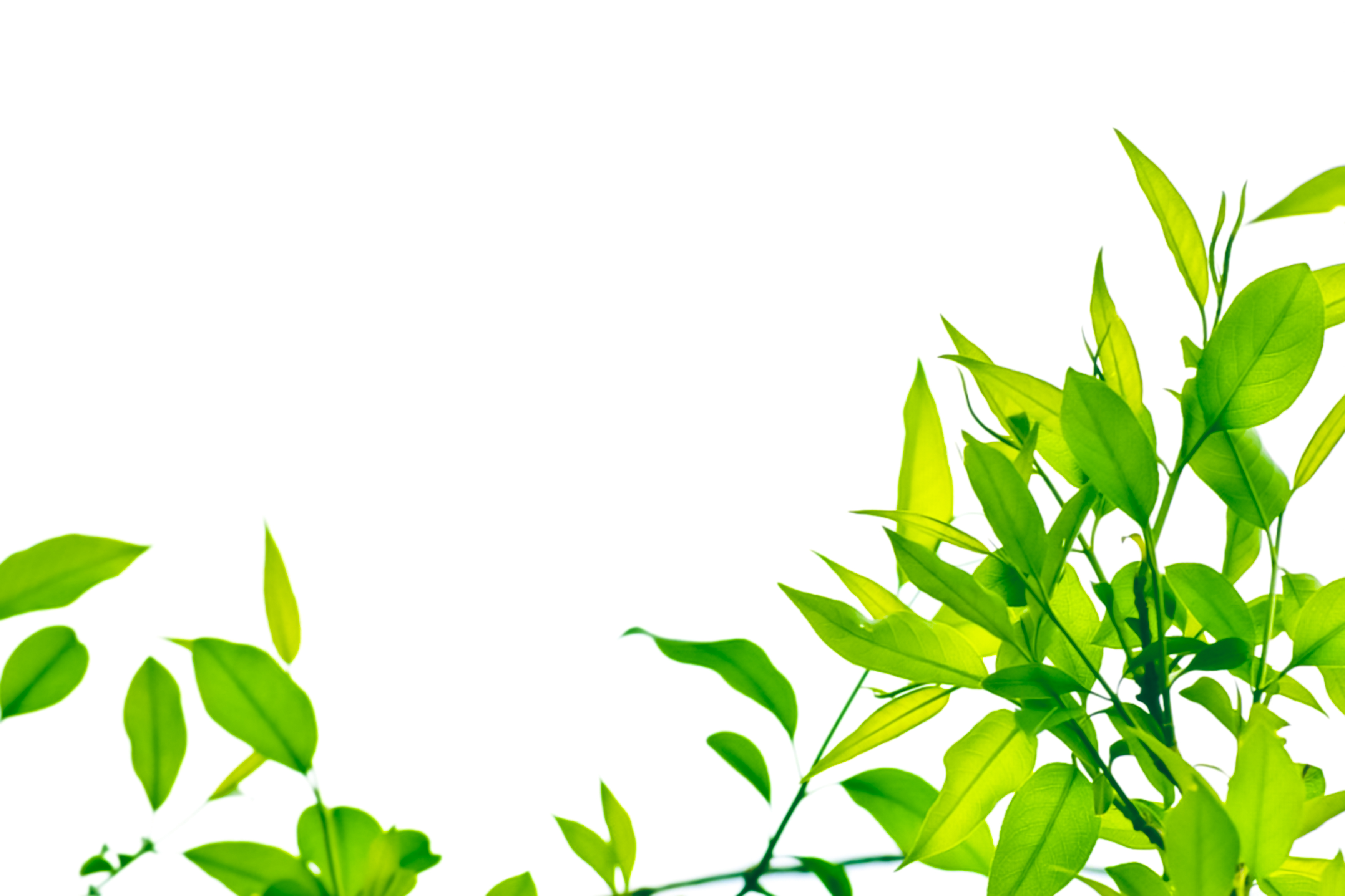 美容皮膚科医に聞く！最新治療